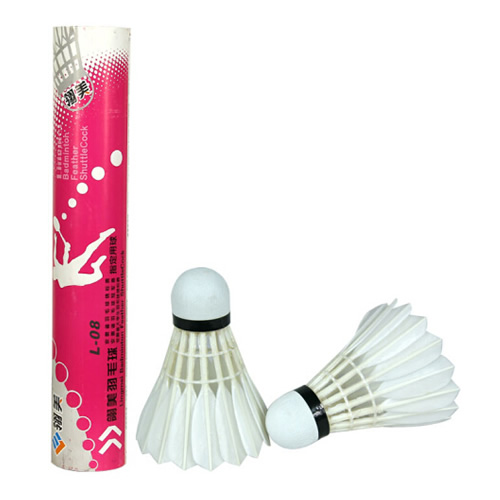 ����L-08��ë��