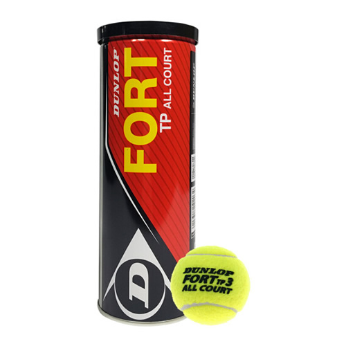 ��»��FORT TP����