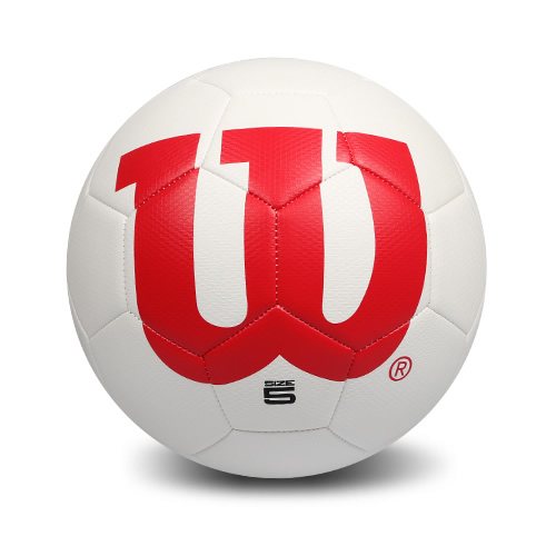 ����ʤWS204M����