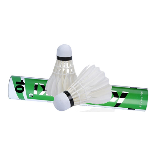 ����ѵ��10��ë��