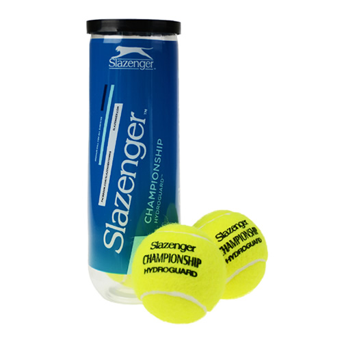 ʷ������CHAMPHYD����