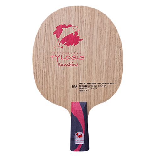 ����729���⺣��ƹ����װ�