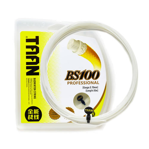 ̩��BS100��ë������ͼ3