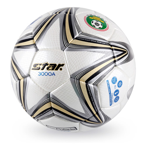 ����New Polaris3000����