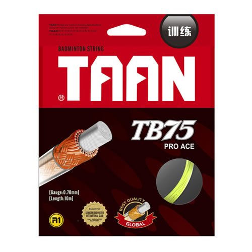 ̩��TB75��ë������ͼ1