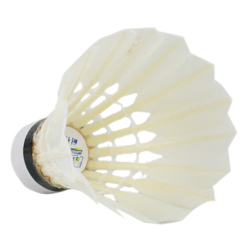 �����ʹ�3����ë��ͼ1