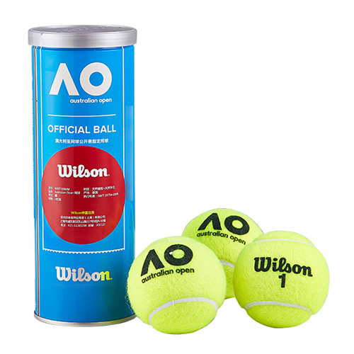 ����ʤAustralian Open����