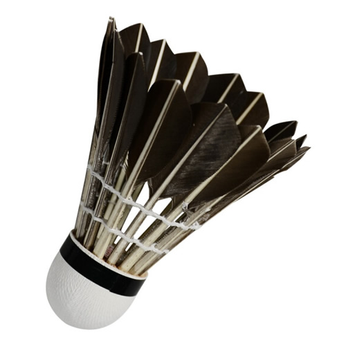 ��ʿNO.100��ë��ͼ1