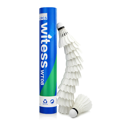 WITESS WT80��ë��