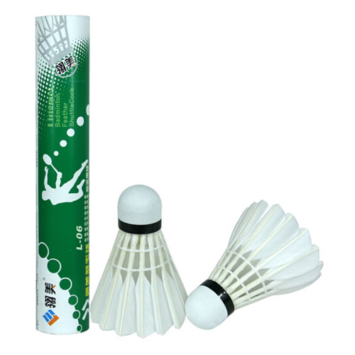 ����L-06��ë��