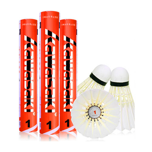 ���������Team1��ë��