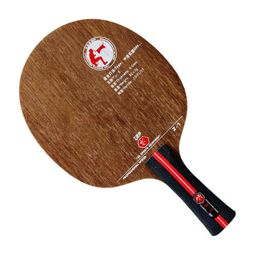 ����729 Z-1ƹ����װ�