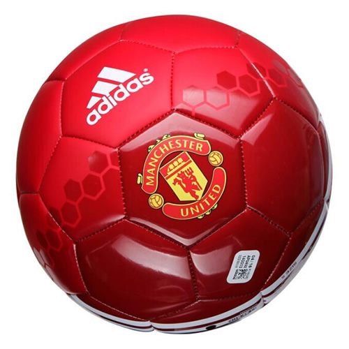 ���ϴ�˹MUFC����ѵ������ͼ2