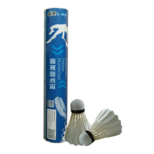 ����L-09��ë��