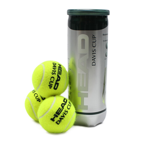 ���´�ά˹����������