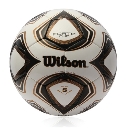 ����ʤFIFA����������ͼ2