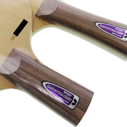 ����GARAYDIA-T5000(���׵�T5000)ƹ����װ�ͼ2