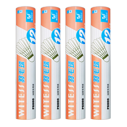 WITESS P6000��ë��