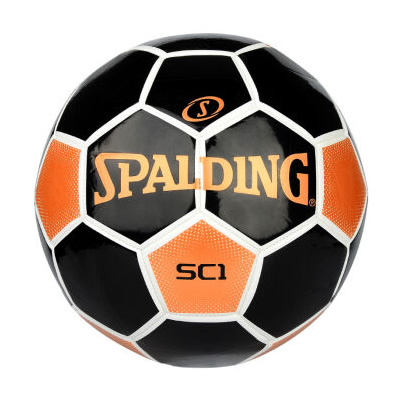 ˹����SC1����(ͭ���)