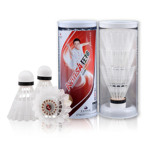 ����KS0823��ë��