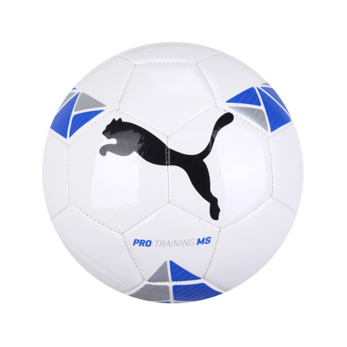 ����Pro Training MS ball����