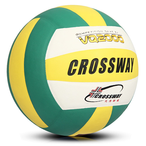 ����˹��VQ2000��׼5������ͼ1