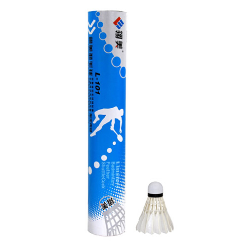 ����L-101��ë��