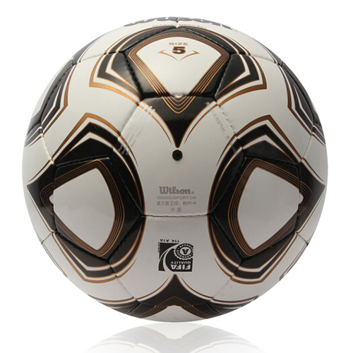 ����ʤFIFA����������ͼ1