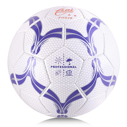 ˫�㳤��FH528����ͼ1