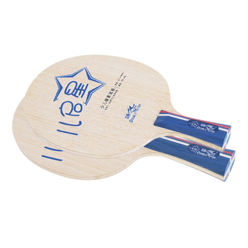 ˫��������ٶ�ƹ����װ�ͼ1