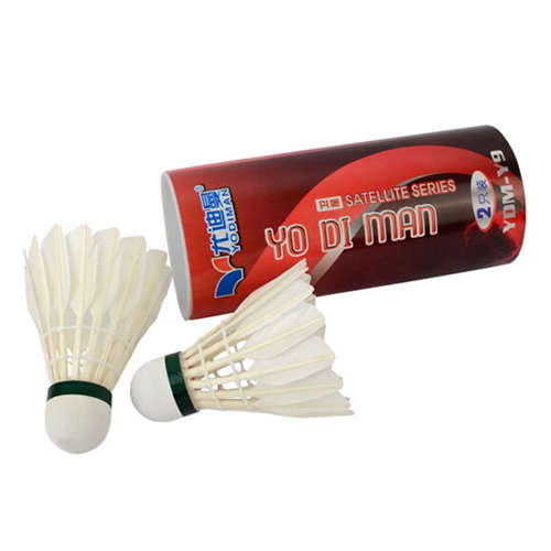 �ȵ���Y9��ë��ͼ1