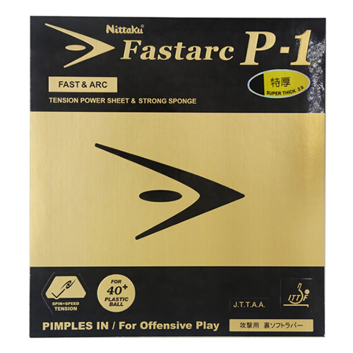 ������FASTARC P-1ƹ�����׽�ͼ3