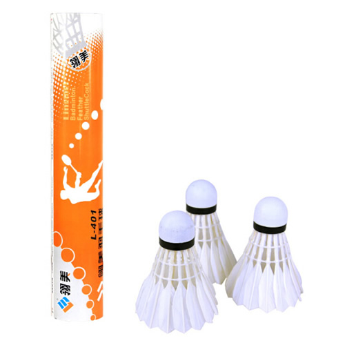 ����L-401��ë��