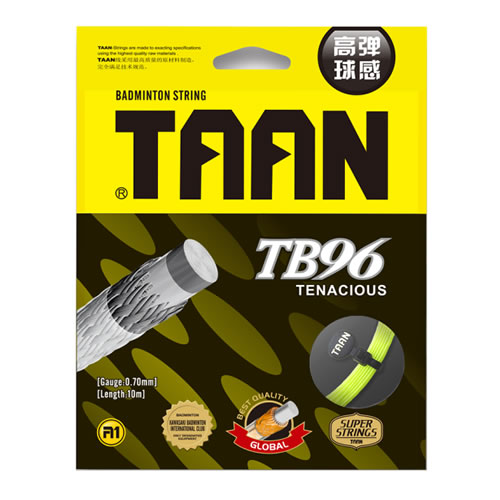 ̩��TB96��ë������ͼ1