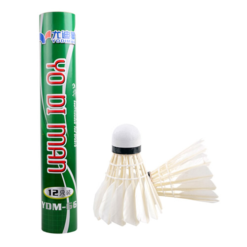 �ȵ���YDM-66��ë��