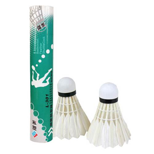 ����L-301��ë��