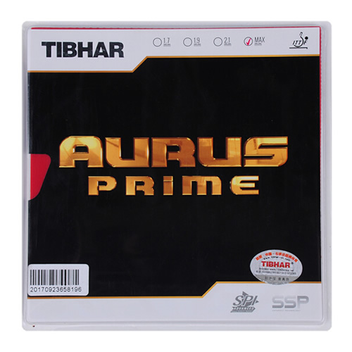 ͦ��ʥ��(��)ƹ�����׽�