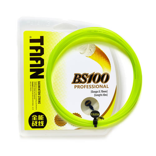 ̩��BS100��ë������ͼ1