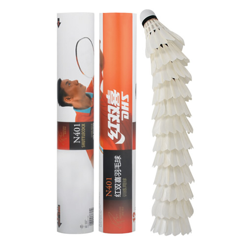 ��˫ϲN401��ë��ͼ1