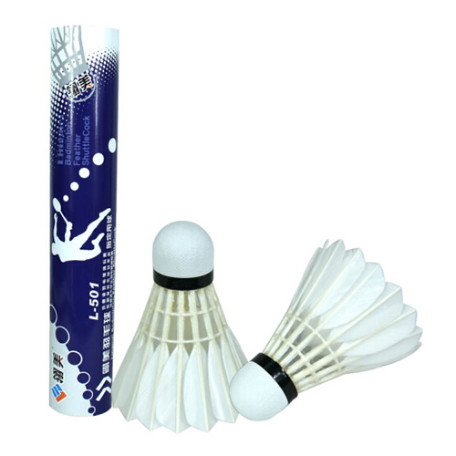 ����L-501��ë��