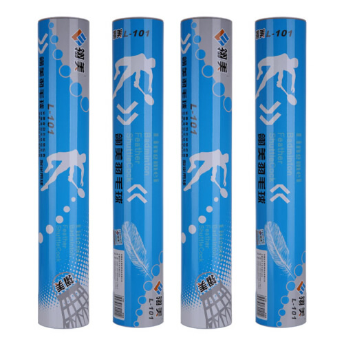 ����L-101��ë��ͼ1