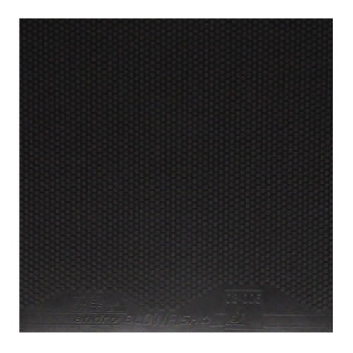 ����BLOWFISH+������ƹ�����׽�ͼ1