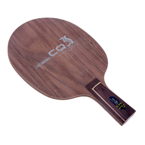 ˫��CQ3ƹ����װ�