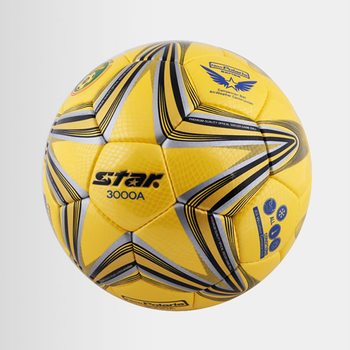 ����New Polaris3000����