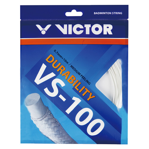 ʤ��VS-100������