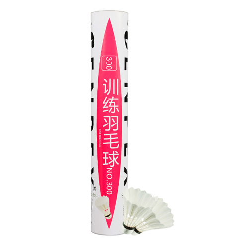 ��ʿNO.300��ë��ͼ2