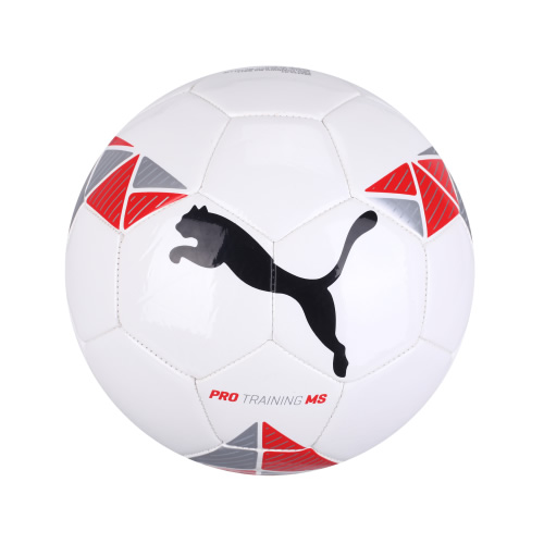 ����Pro Training MS ball����