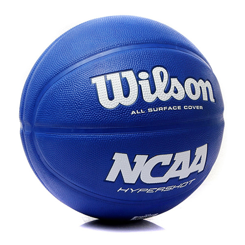 ����ʤ�ͷ�ˮ������(Ұݮ��)