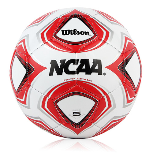 ����ʤWS200M����ͼ2