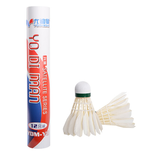 �ȵ���Y8��ë��